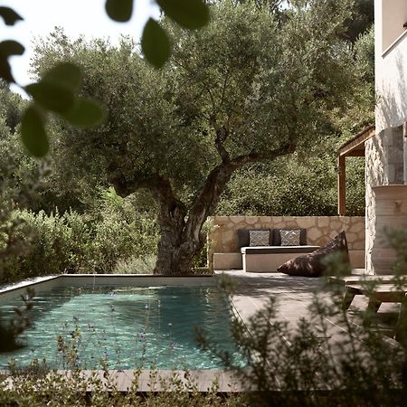 Zayn Luxury Villas, A Serene Escape, By Thinkvilla 티실리비 외부 사진