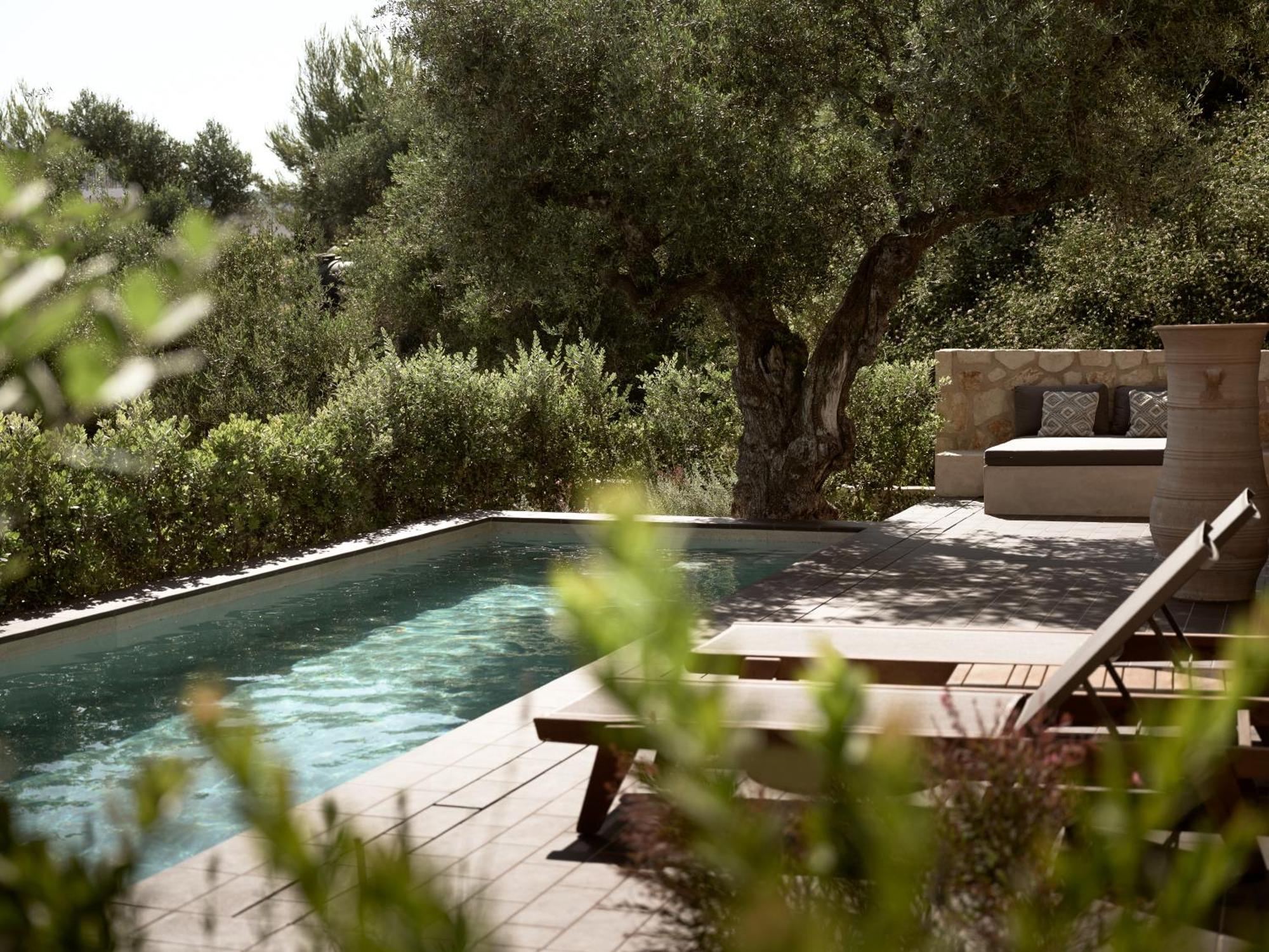 Zayn Luxury Villas, A Serene Escape, By Thinkvilla 티실리비 외부 사진