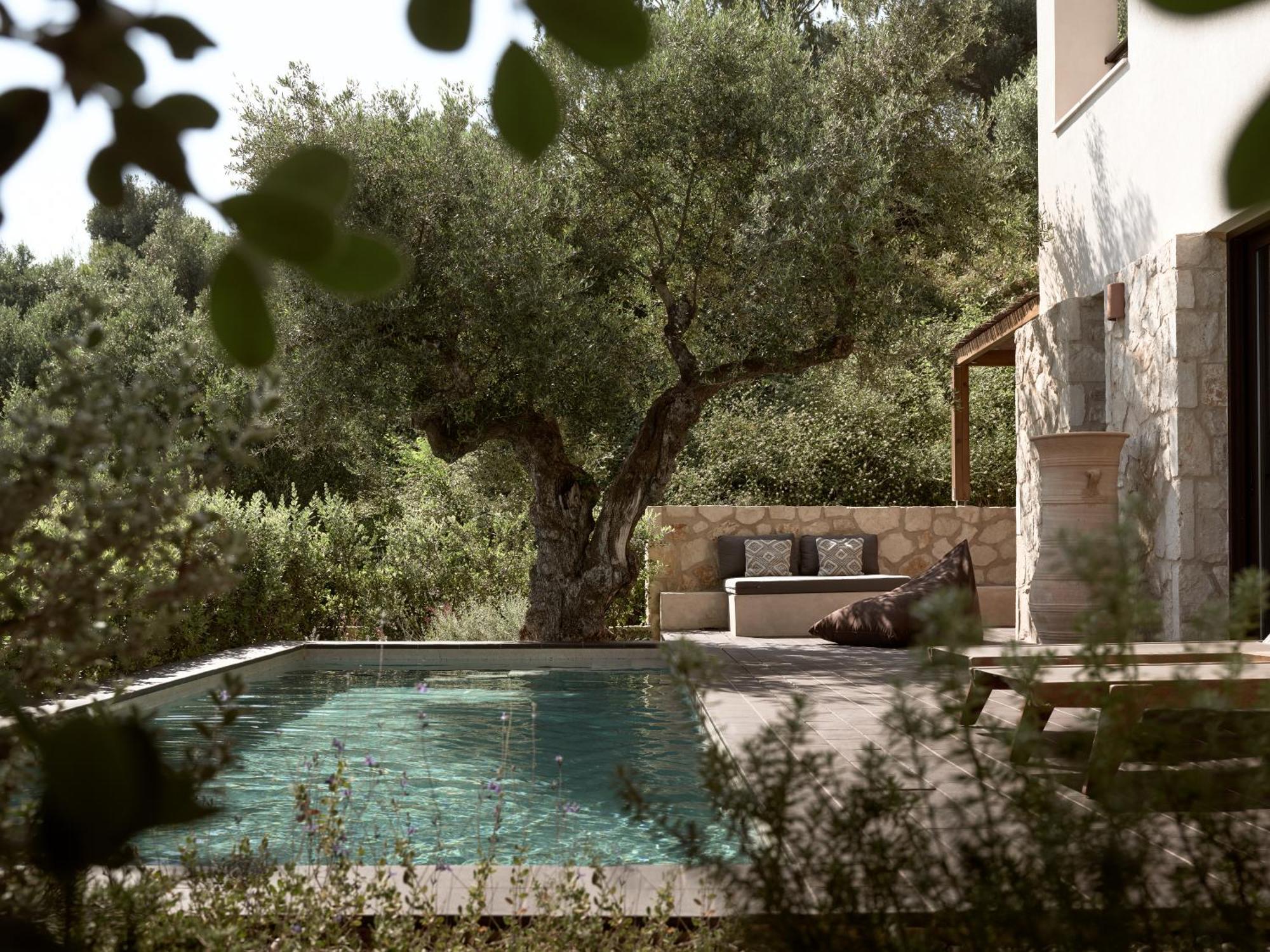 Zayn Luxury Villas, A Serene Escape, By Thinkvilla 티실리비 외부 사진